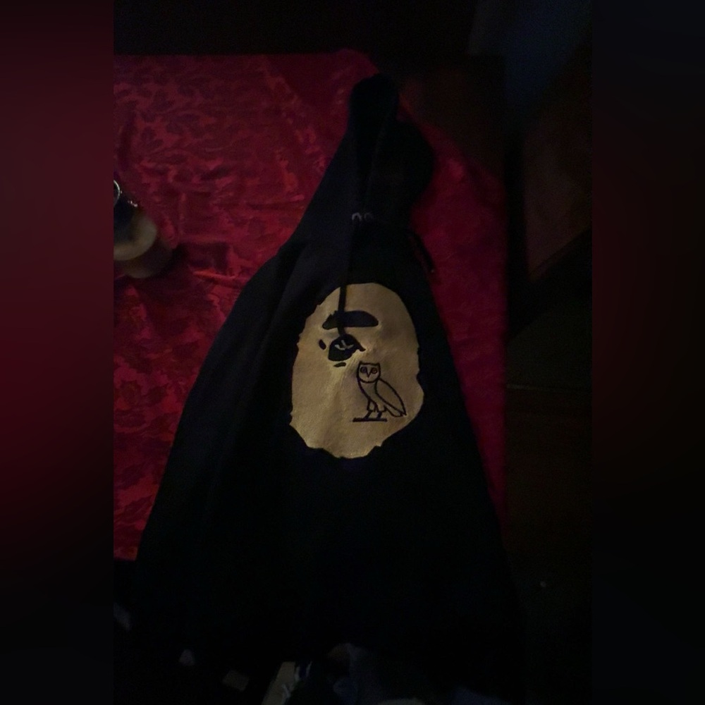 Bape x ovo hoodie